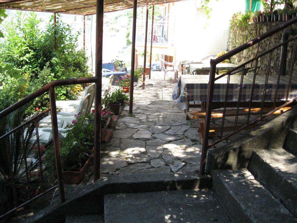 Apartments Olga Tivat Zewnętrze zdjęcie